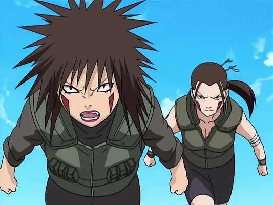 Tsume et Hana Inuzuka : la mère et la sœur de Kiba